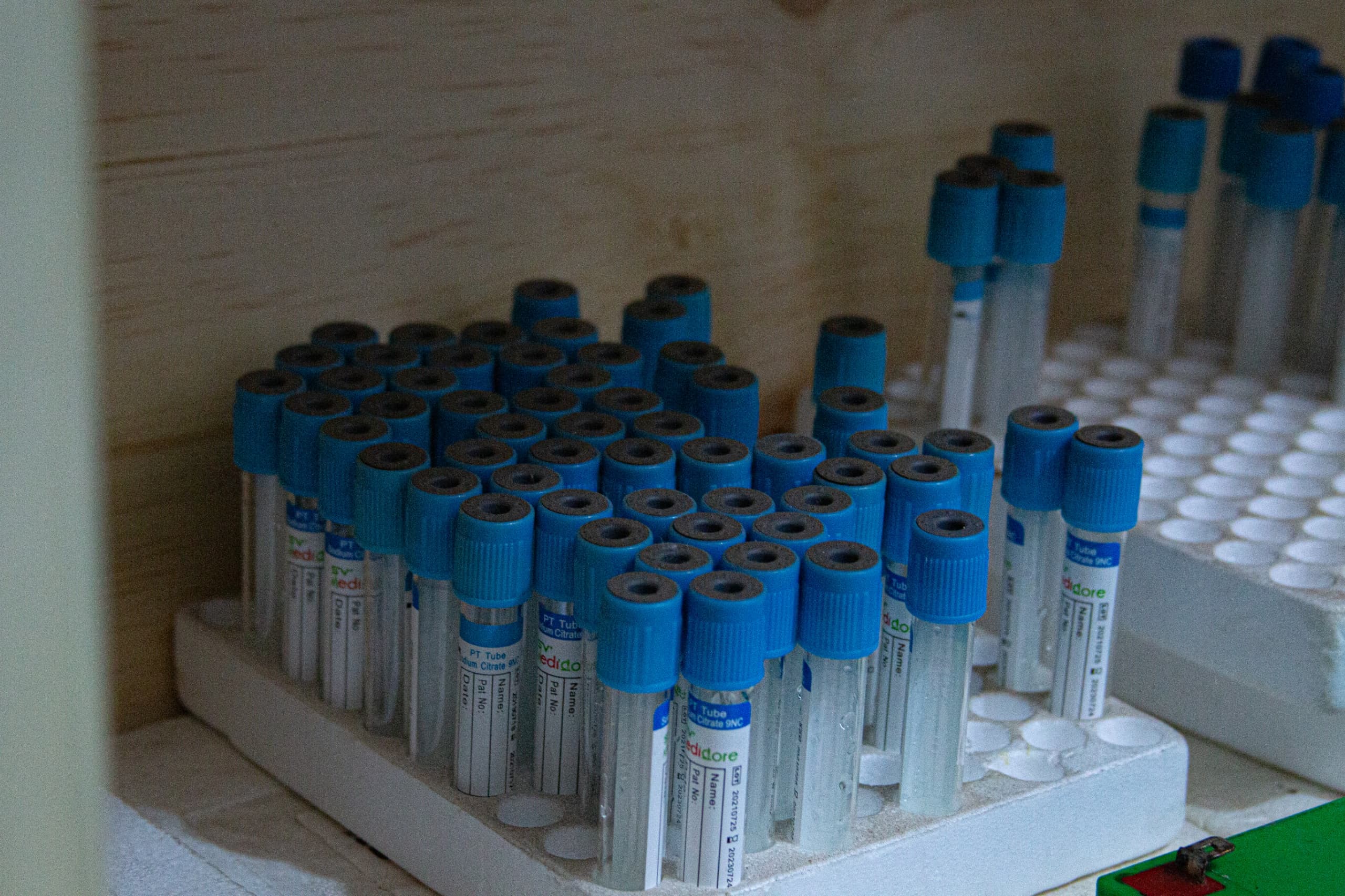 Racks of labelled sample tubes ready for testing at Mysha